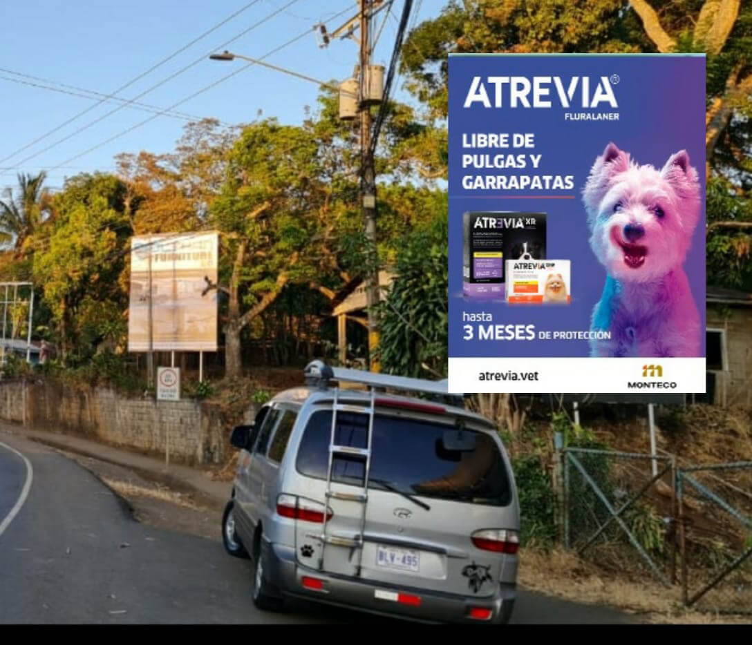 Publicidad Roman